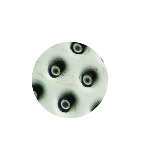 f9a30617345e43a1e4a2f3e4aa10b75b-1.png